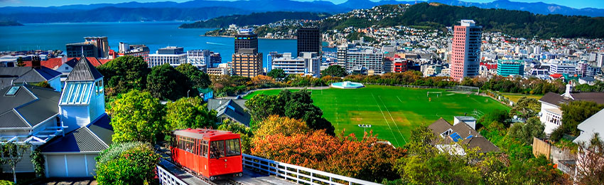 Wellington.jpg Wellington.jpg