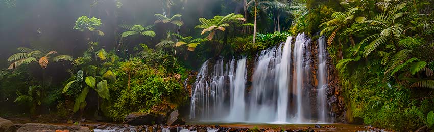 Taman_Negara_Berkoh1.jpg Taman_Negara_Berkoh1.jpg