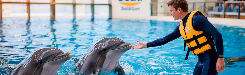 Sea World.jpg Sea World.jpg