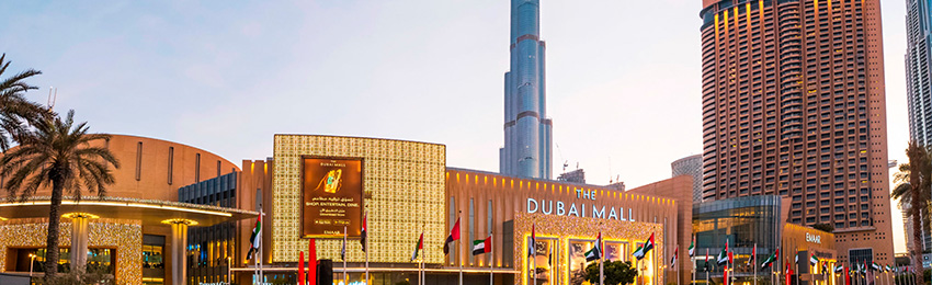 Dubay5.jpg