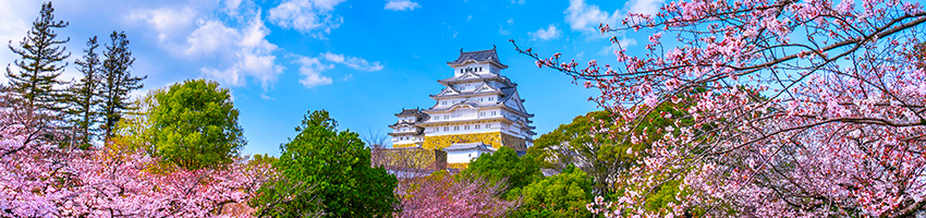 Nara_day3.jpg Nara_day3.jpg