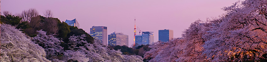 Tokyo_day7.jpg Tokyo_day7.jpg