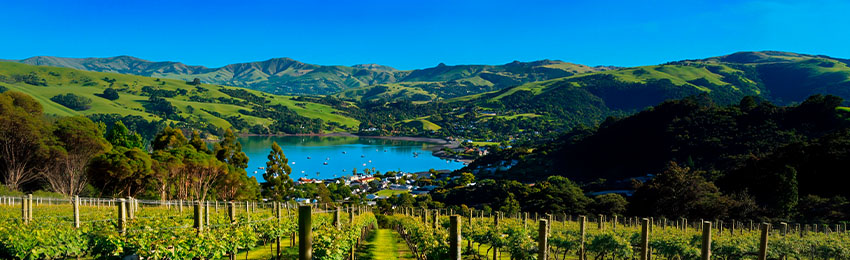 Marlboro_wineyard.jpg Marlboro_wineyard.jpg