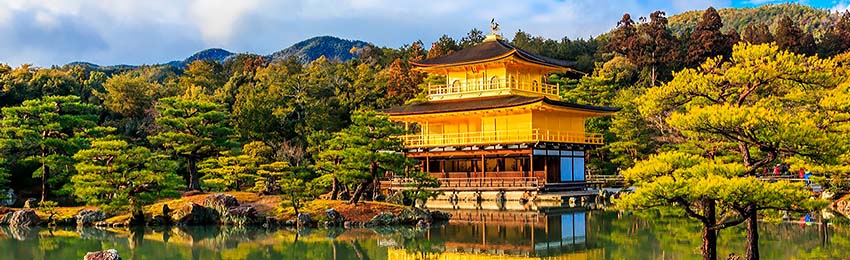 GoldPav.jpg GoldPav.jpg