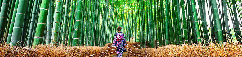 Arajiama.jpg Arajiama.jpg